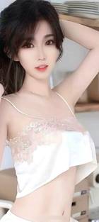 河狸变身计划